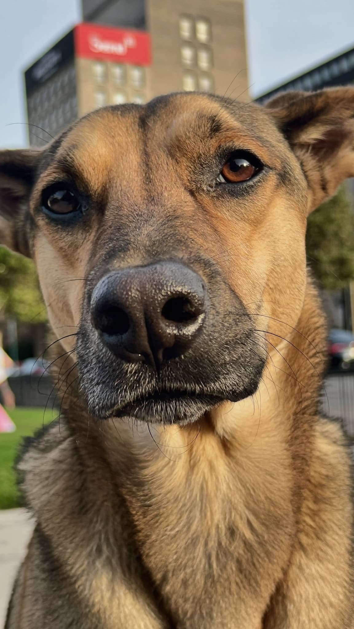 The second she finds your eyes